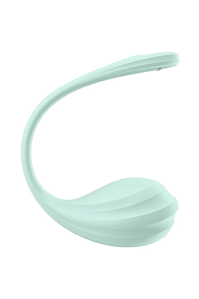 Виброяйцо Satisfyer Smooth Petal Connect App