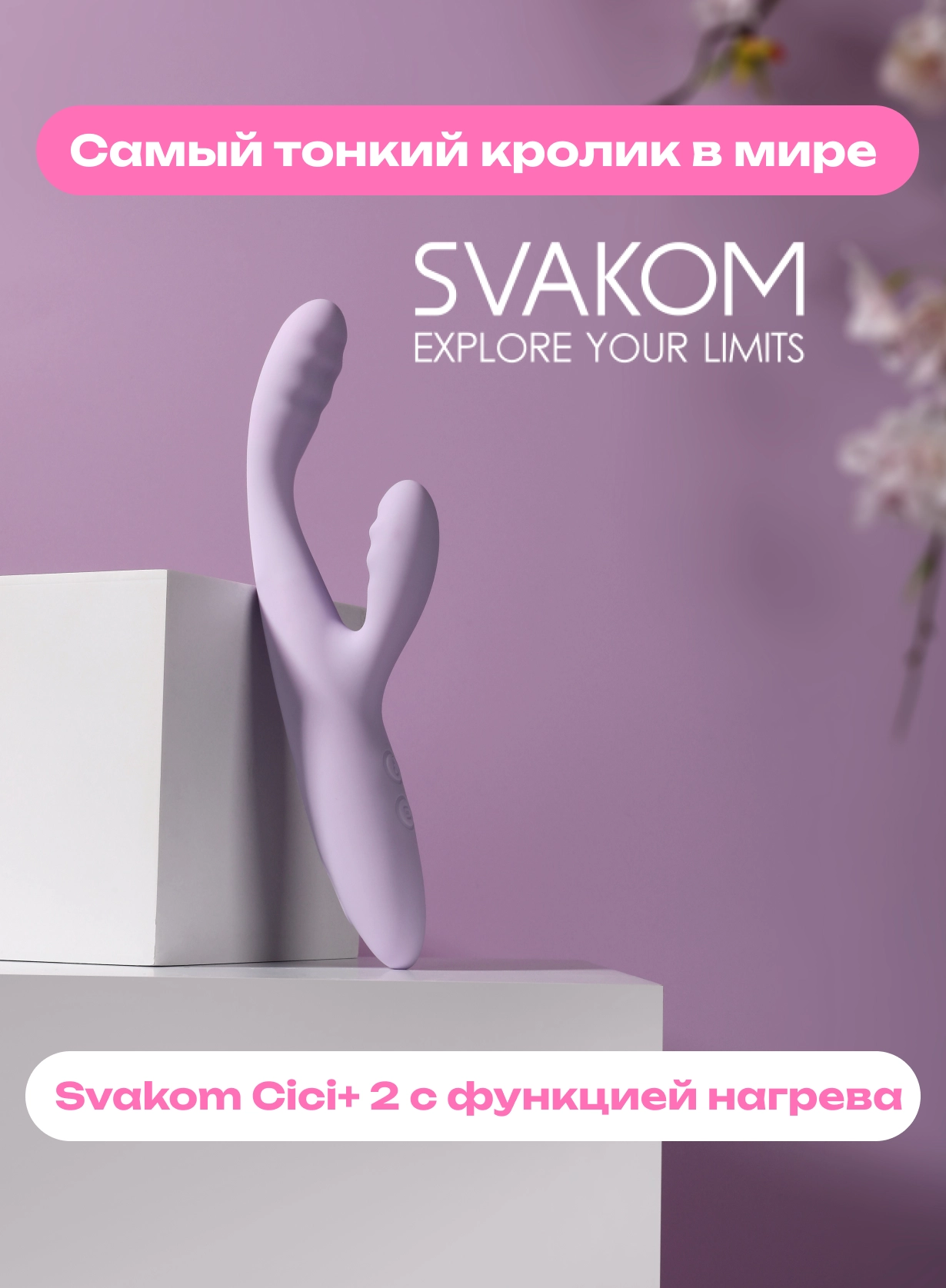 cici+2