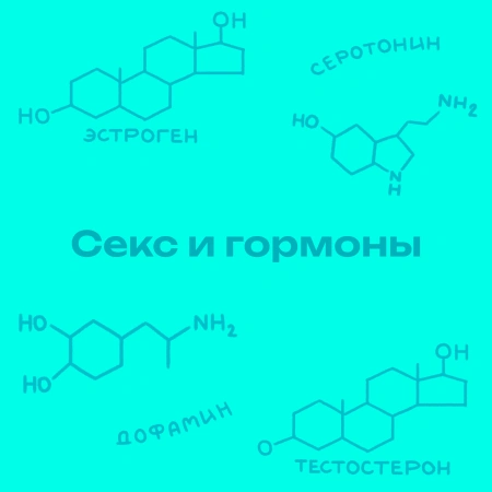 Секс и гормоны: как наше тело реагирует на возбуждение