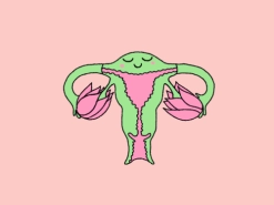 Разговор с гинекологом. Правда о контрацепции